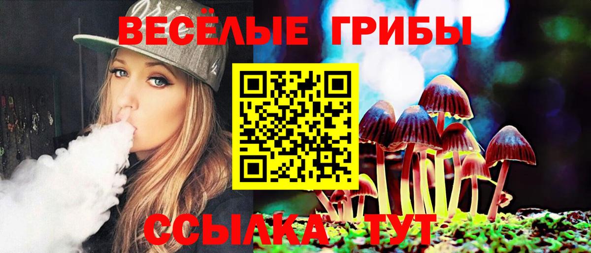 Псилоцибиновые грибы MAGIC MUSHROOMS Первоуральск