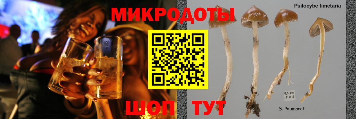Галлюциногенные грибы Psilocybe  Галлюциногенные грибы Magic Shrooms  Первоуральск  Вход с VPN 